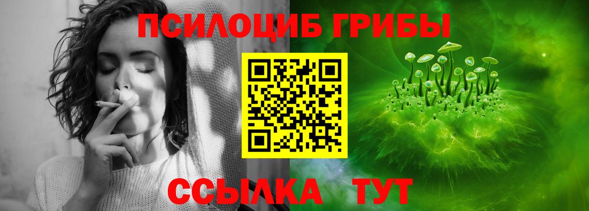 Галлюциногенные грибы прущие грибы Лосино-Петровский